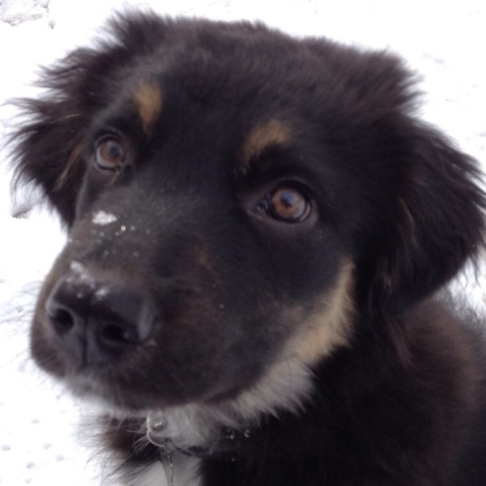 Meet your Posher, Kylee